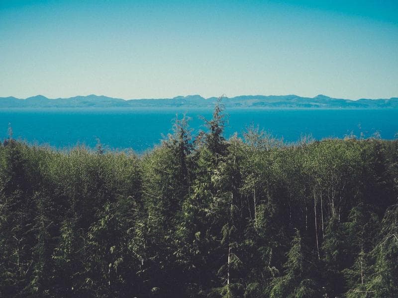 Entryway & Shoe Storage