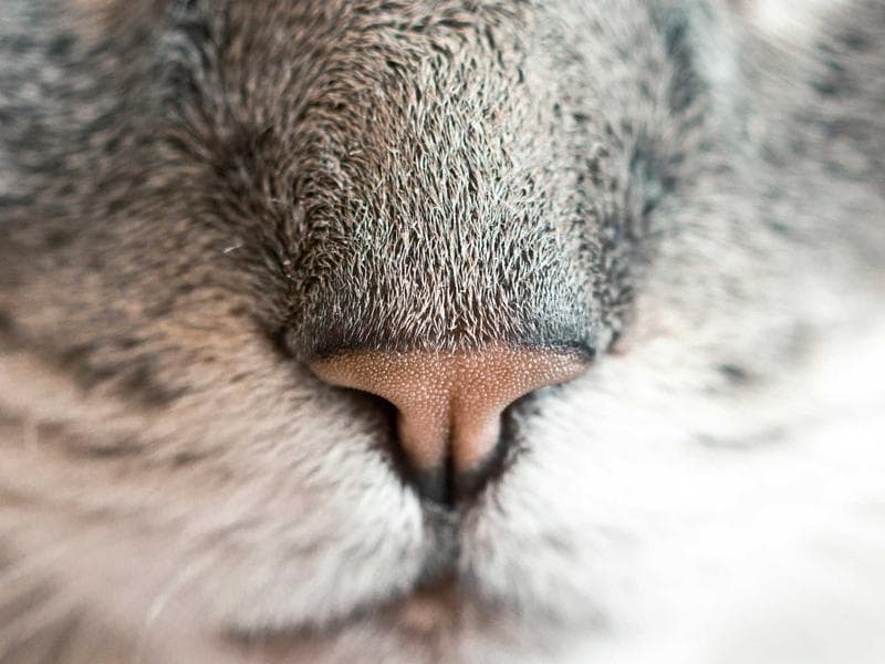 No-Drill Kitchen Storage